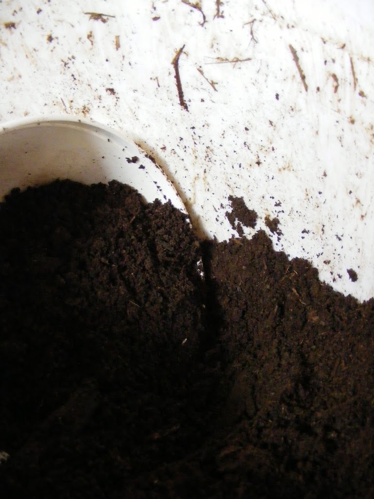 using free soil to start seed